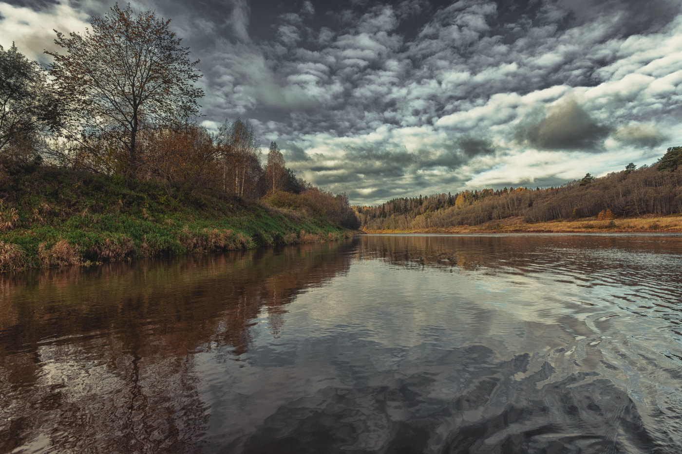 Жизнь вокруг