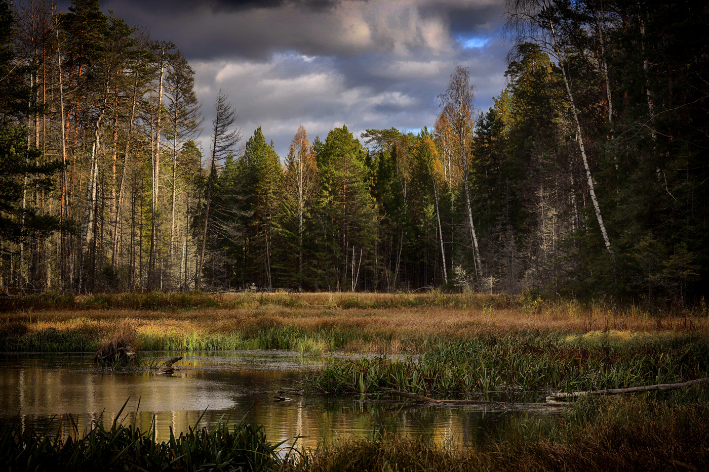 Бобровые угодья