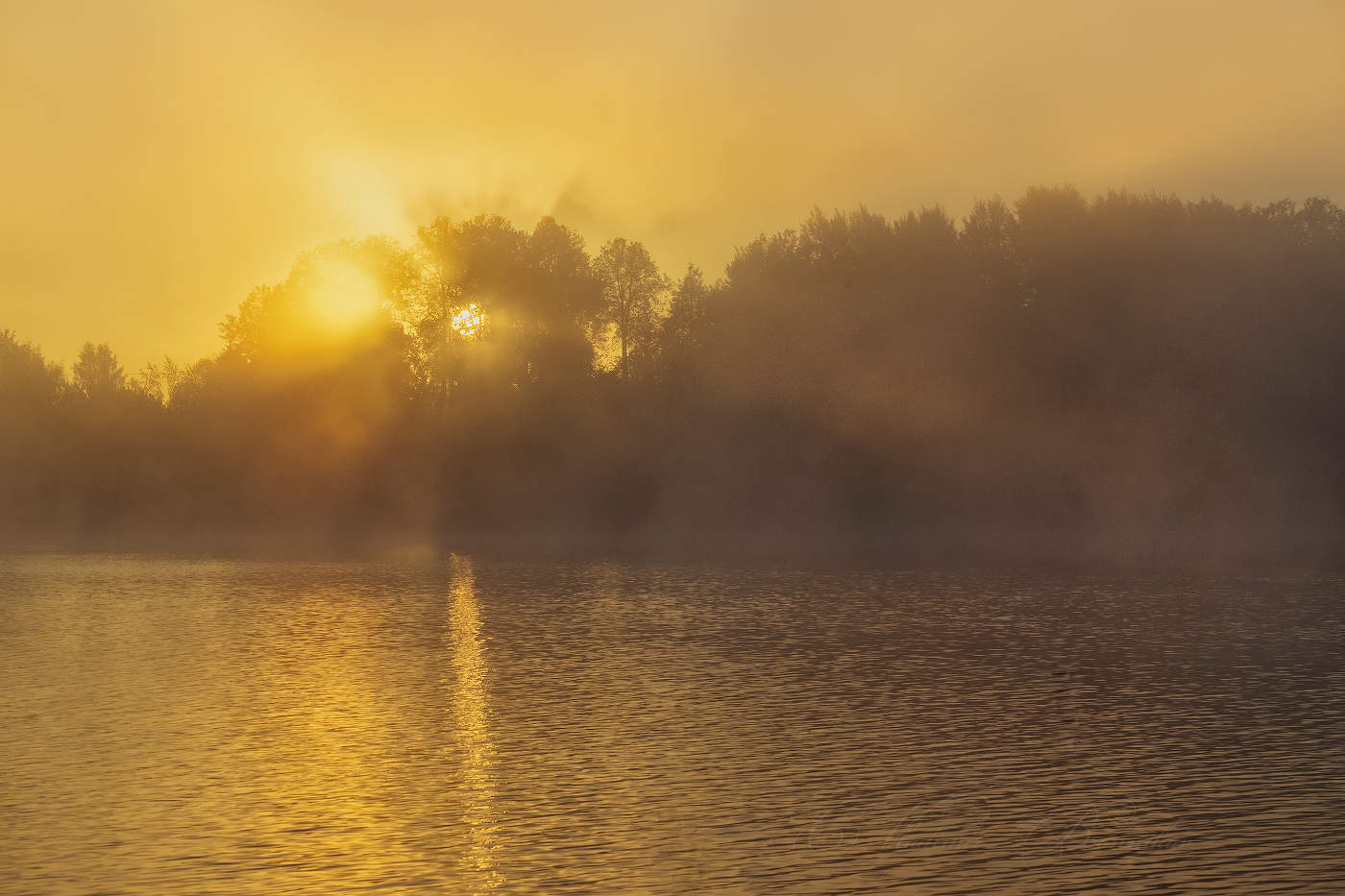 Вставало солнце из тумана