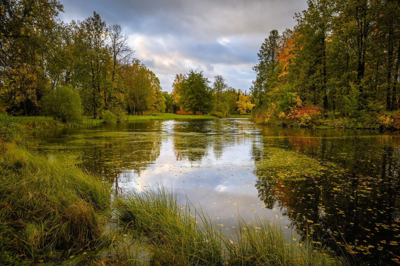 Розовопавильонные пруды. Павловский парк.