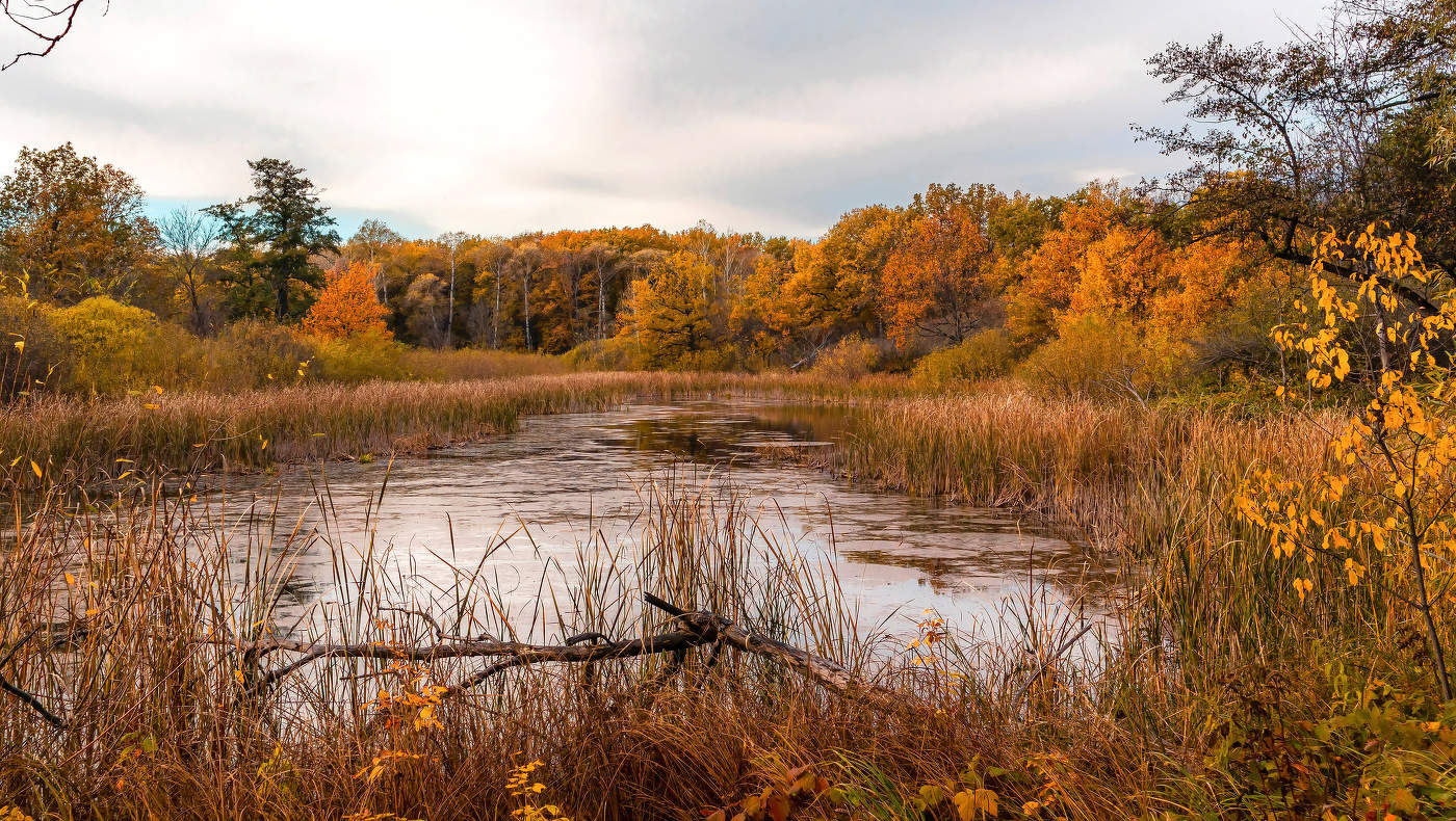Пруд в осеннем антураже.
