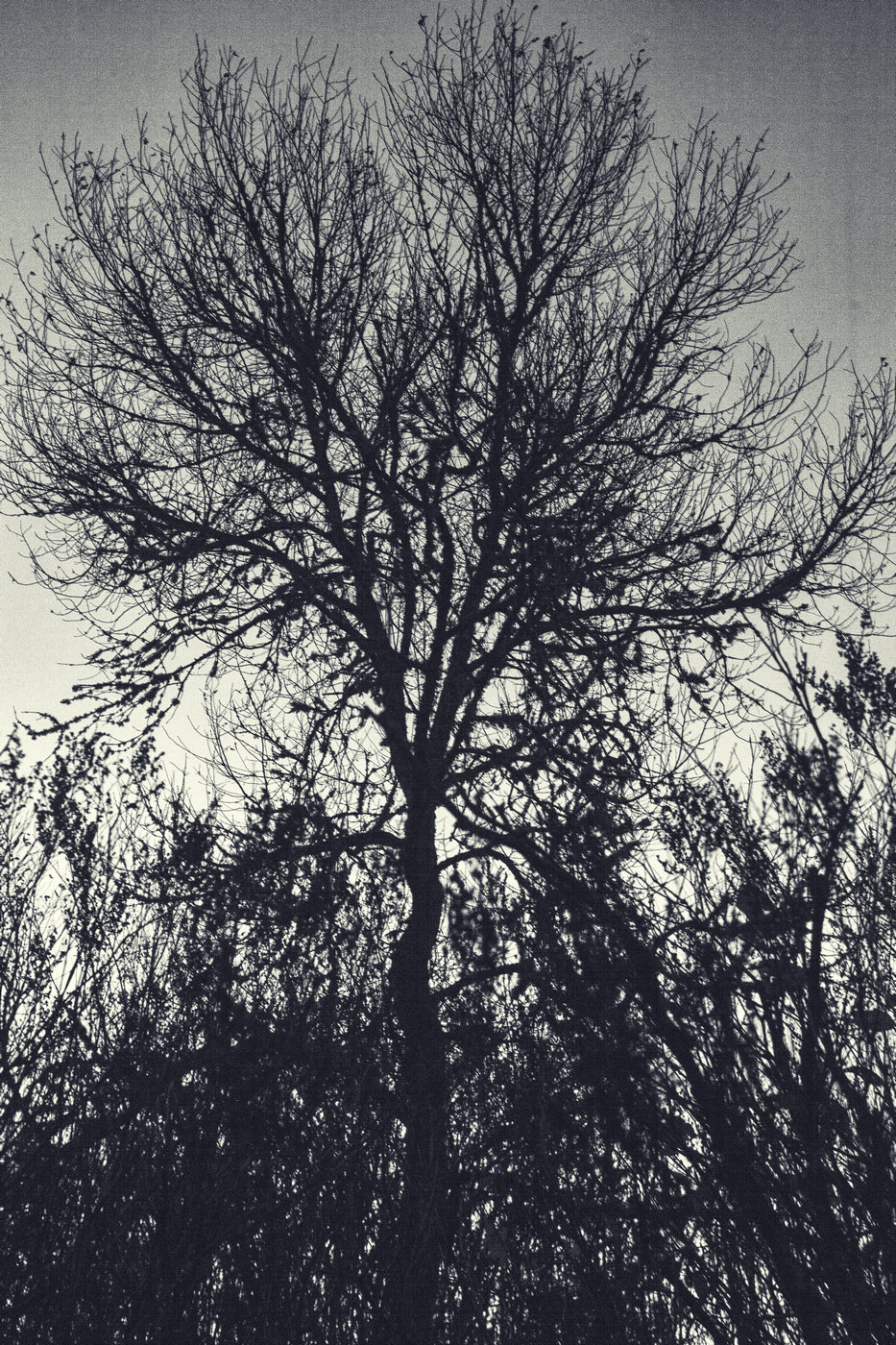 Жизнь вокруг