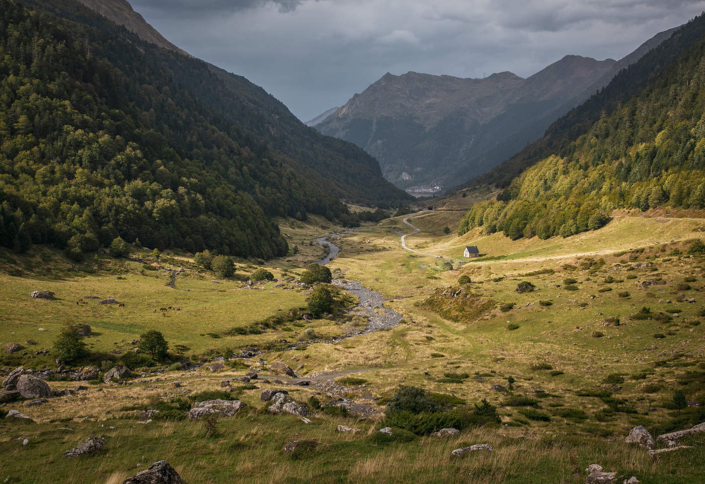 Перед грозой