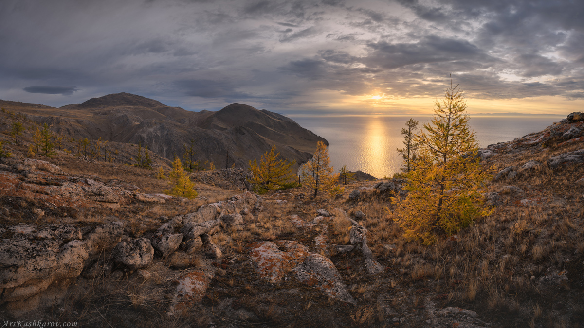 "Восход среди лиственниц"