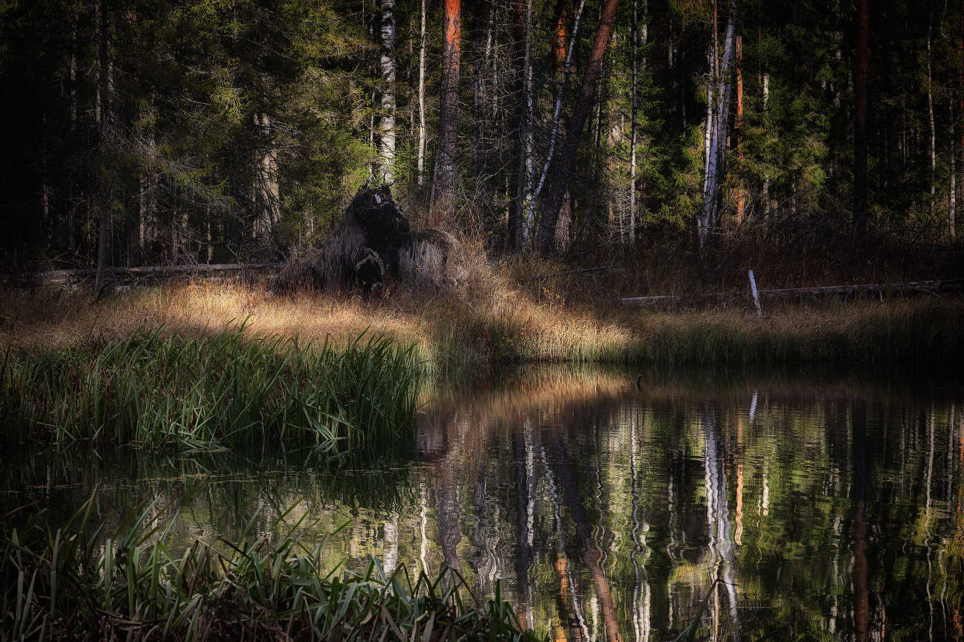 Чудище лесное или