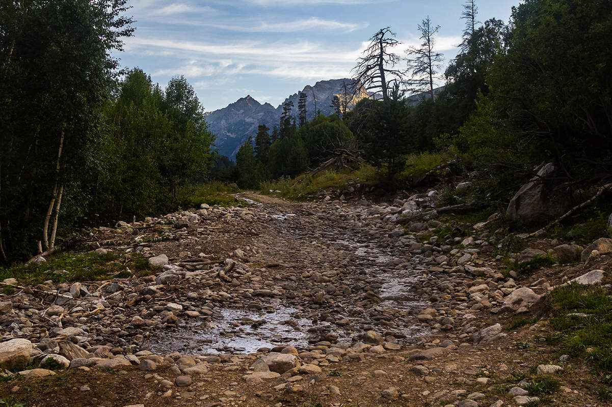 Разными дорогами