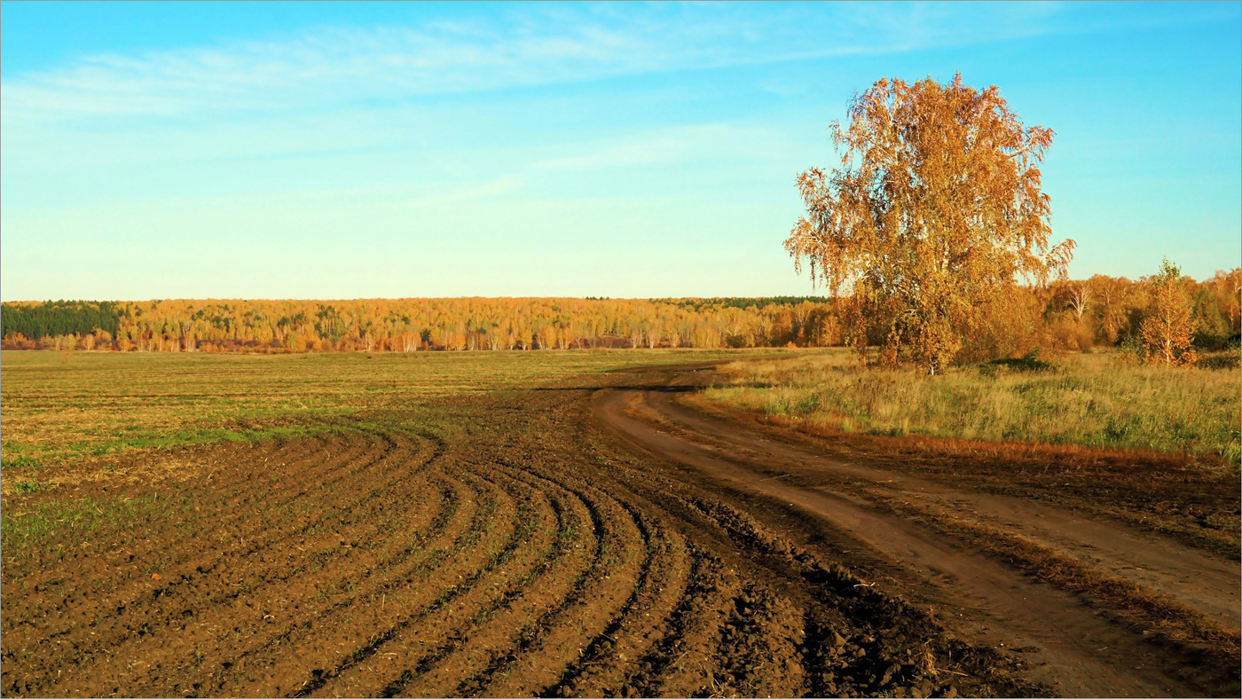 Дорогами осени