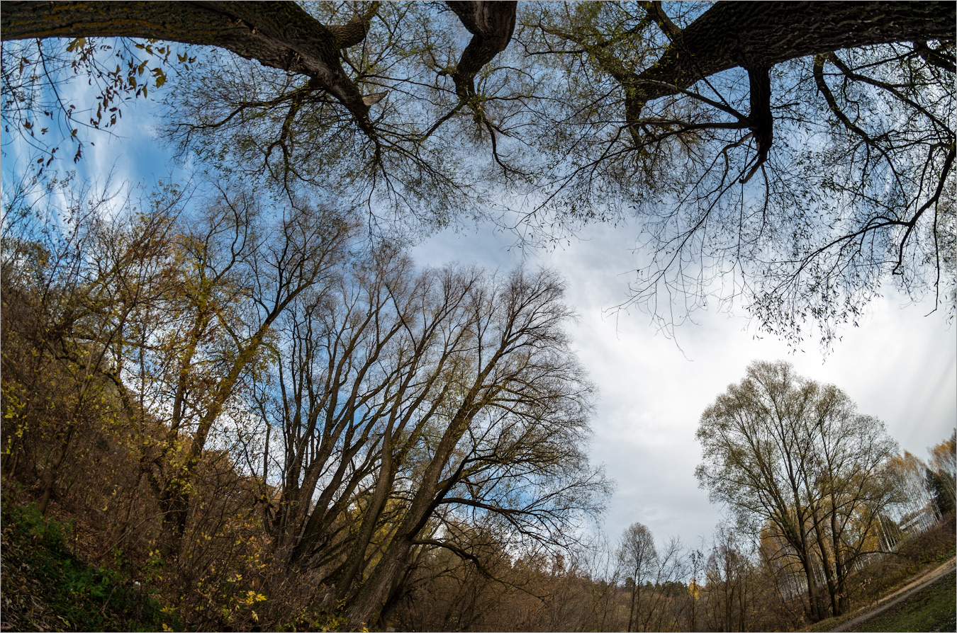 для дачного