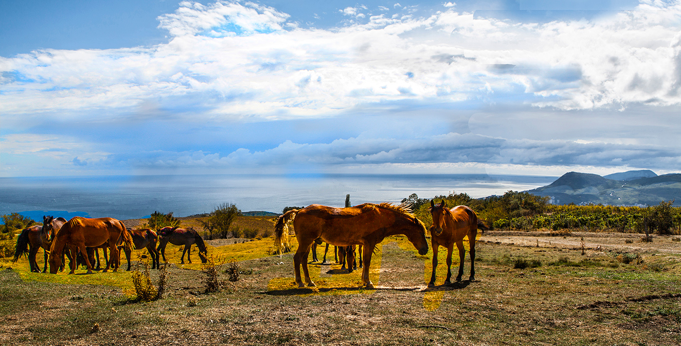 На фоне Чёрного моря
