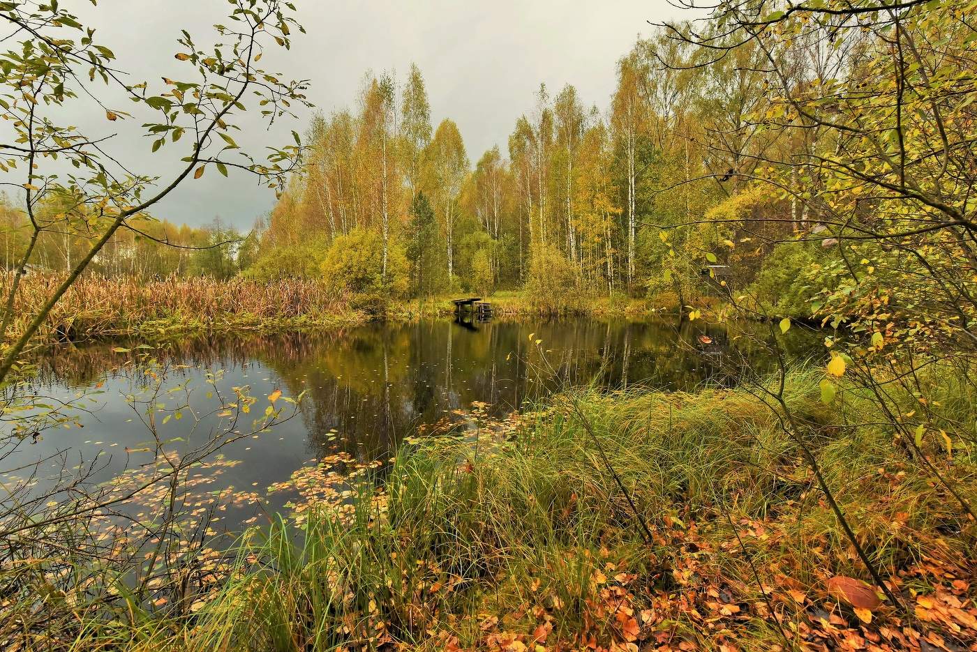 "Октябрь деревьев платья перешил ..."