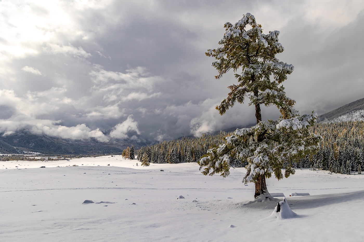 Зима в сентябре