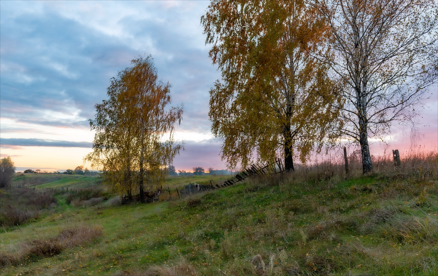 В РОЗОВОМ СВЕЧЕНИИ