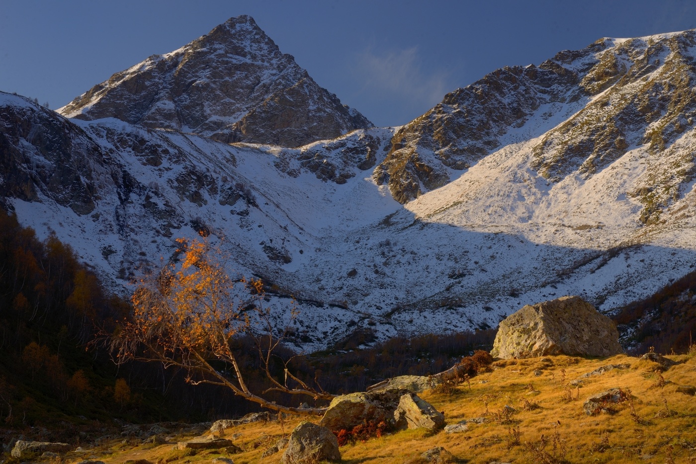 Осеннее утро