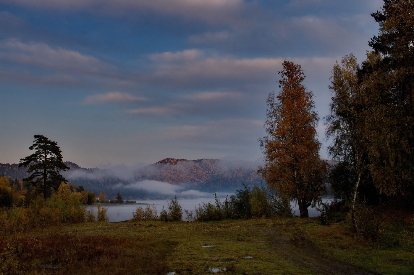 *Прохладное утро.**