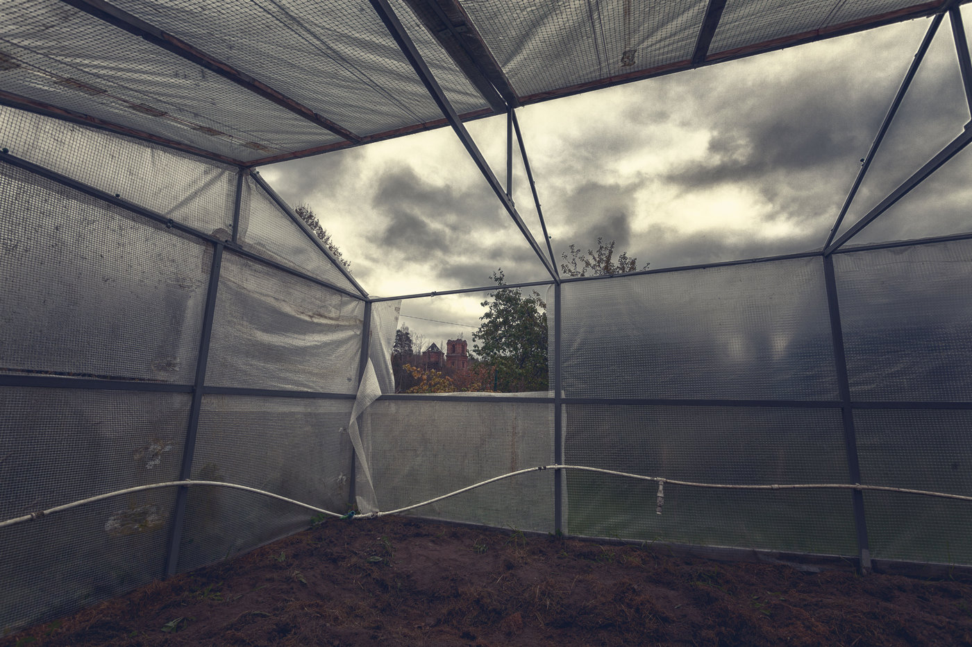 Жизнь вокруг