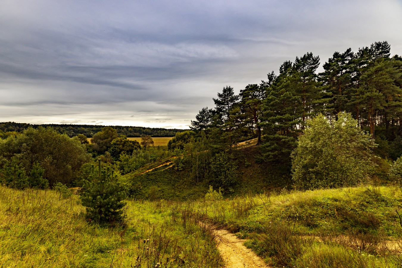 Подмосковье