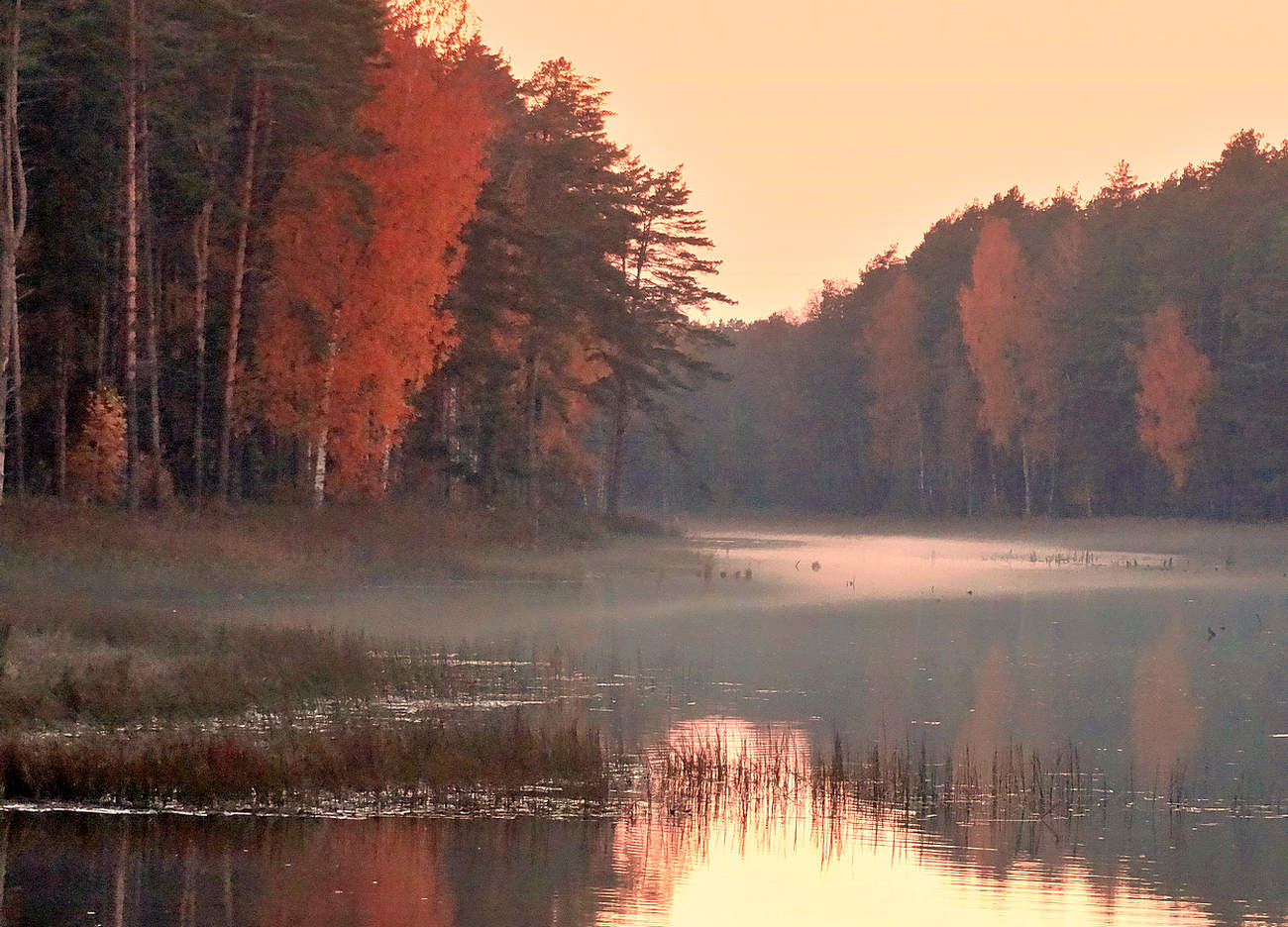 Осенняя вечерняя зарисовка