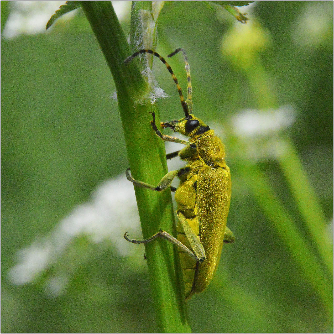 К намеченной цели.