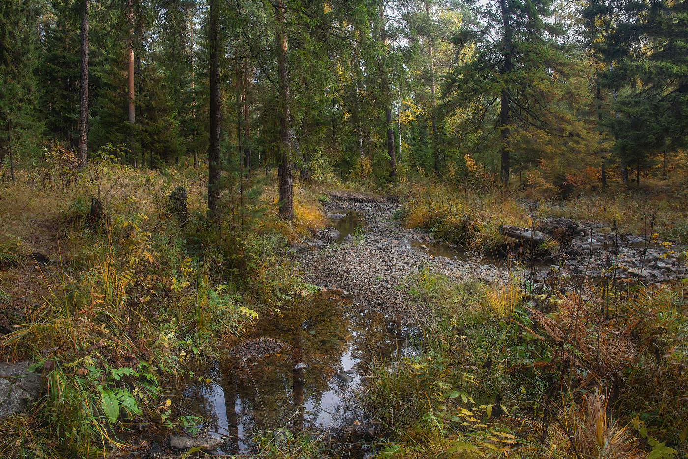 В осеннем лесу