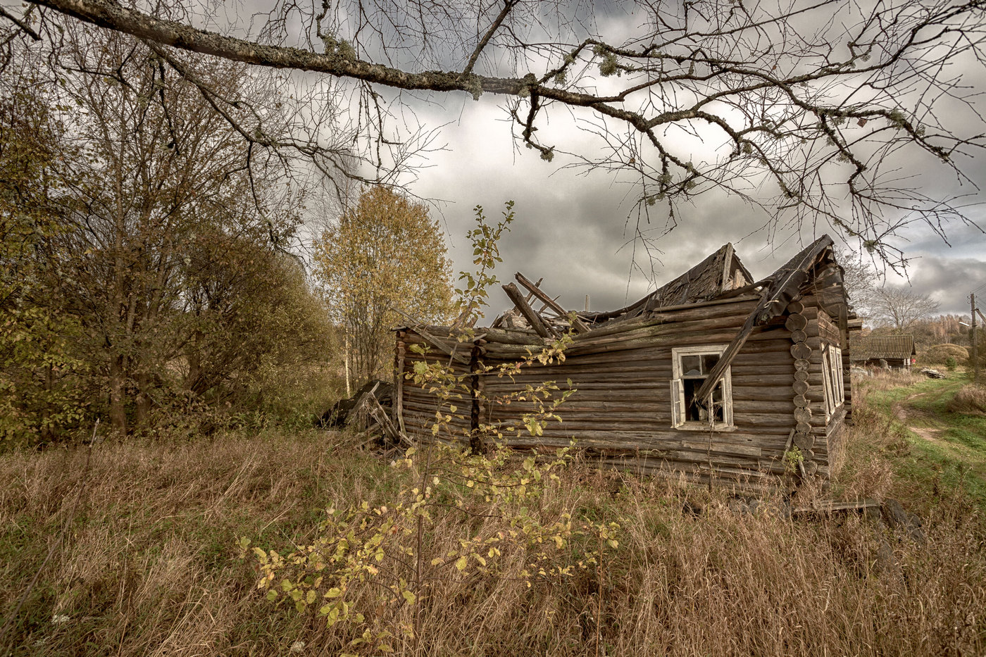 Жизнь вокруг