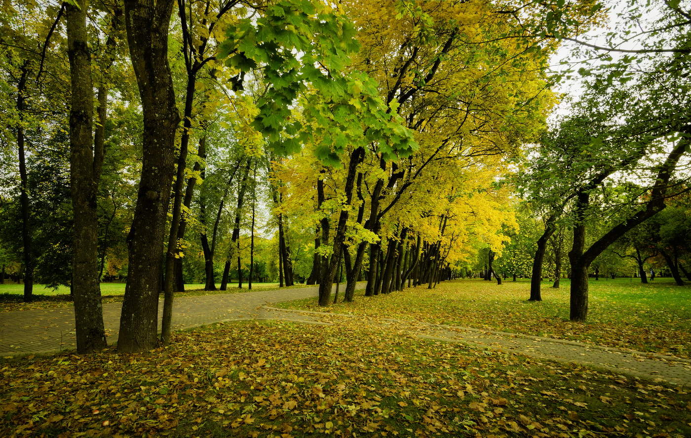 Осень в парке