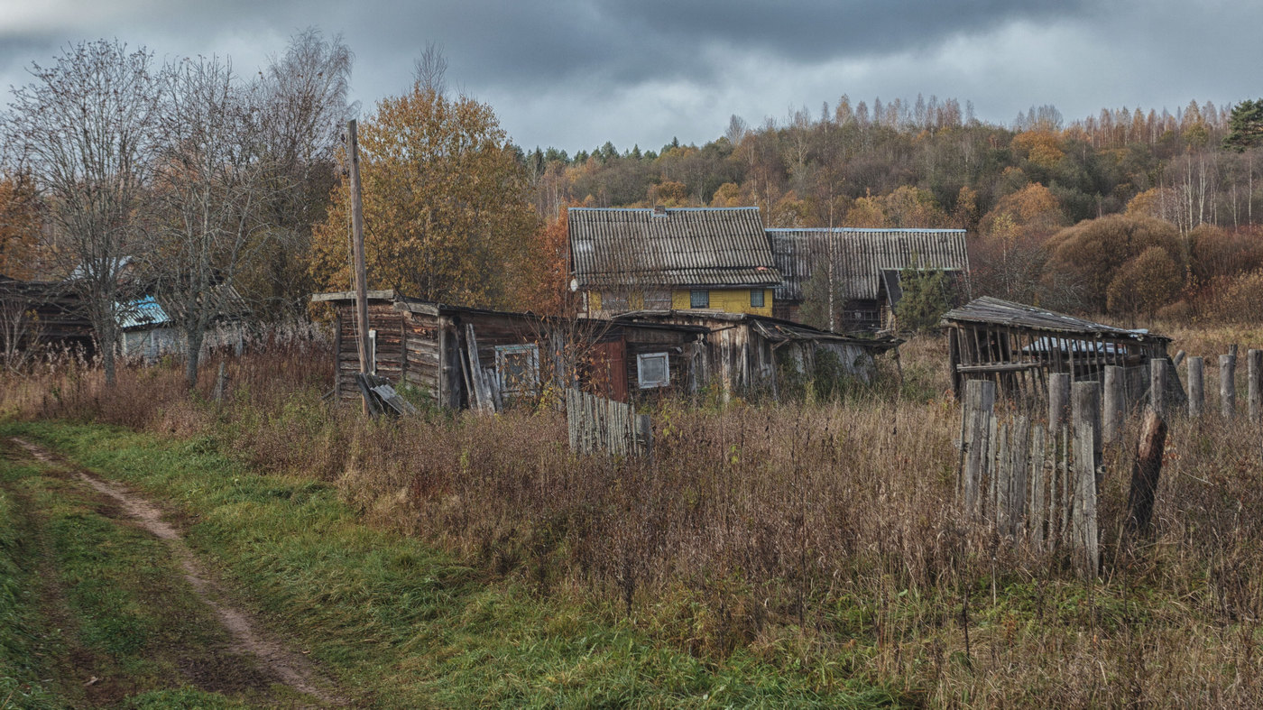 Жизнь вокруг