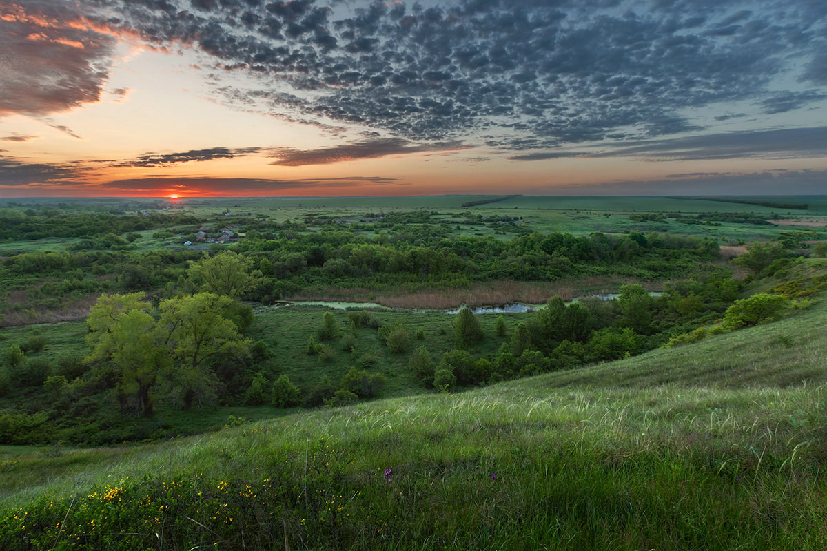 Между рассветом и восходом