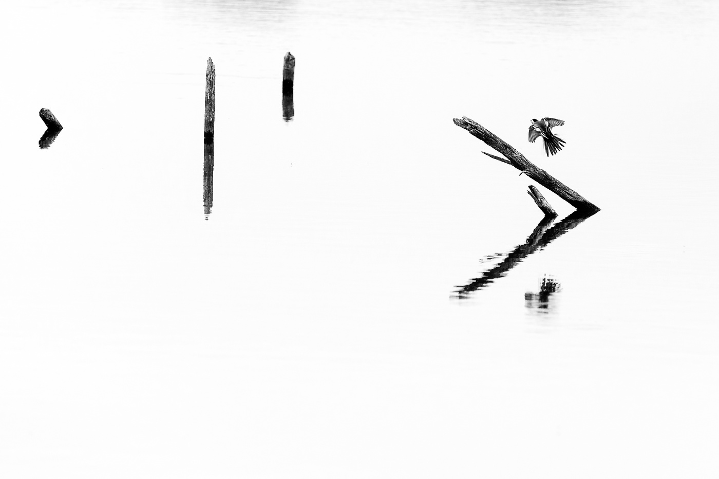 На посадку...