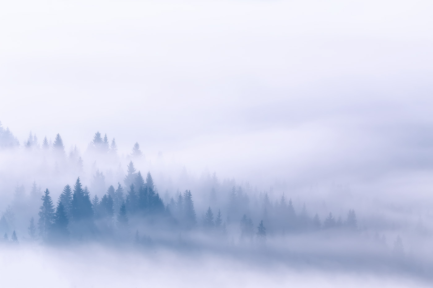 Под туманным одеялом