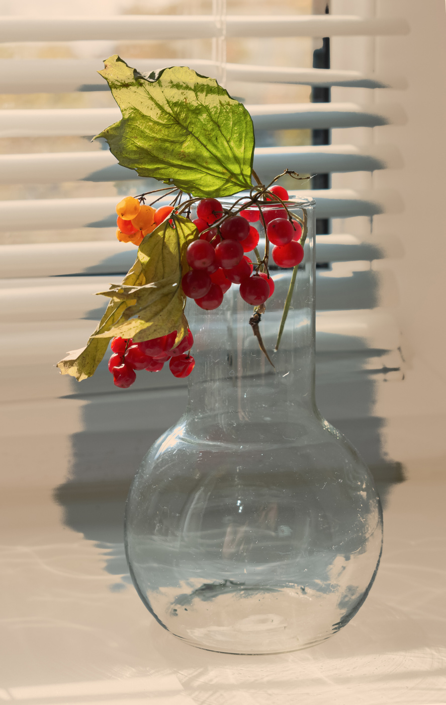 Натюрморт с калиной.