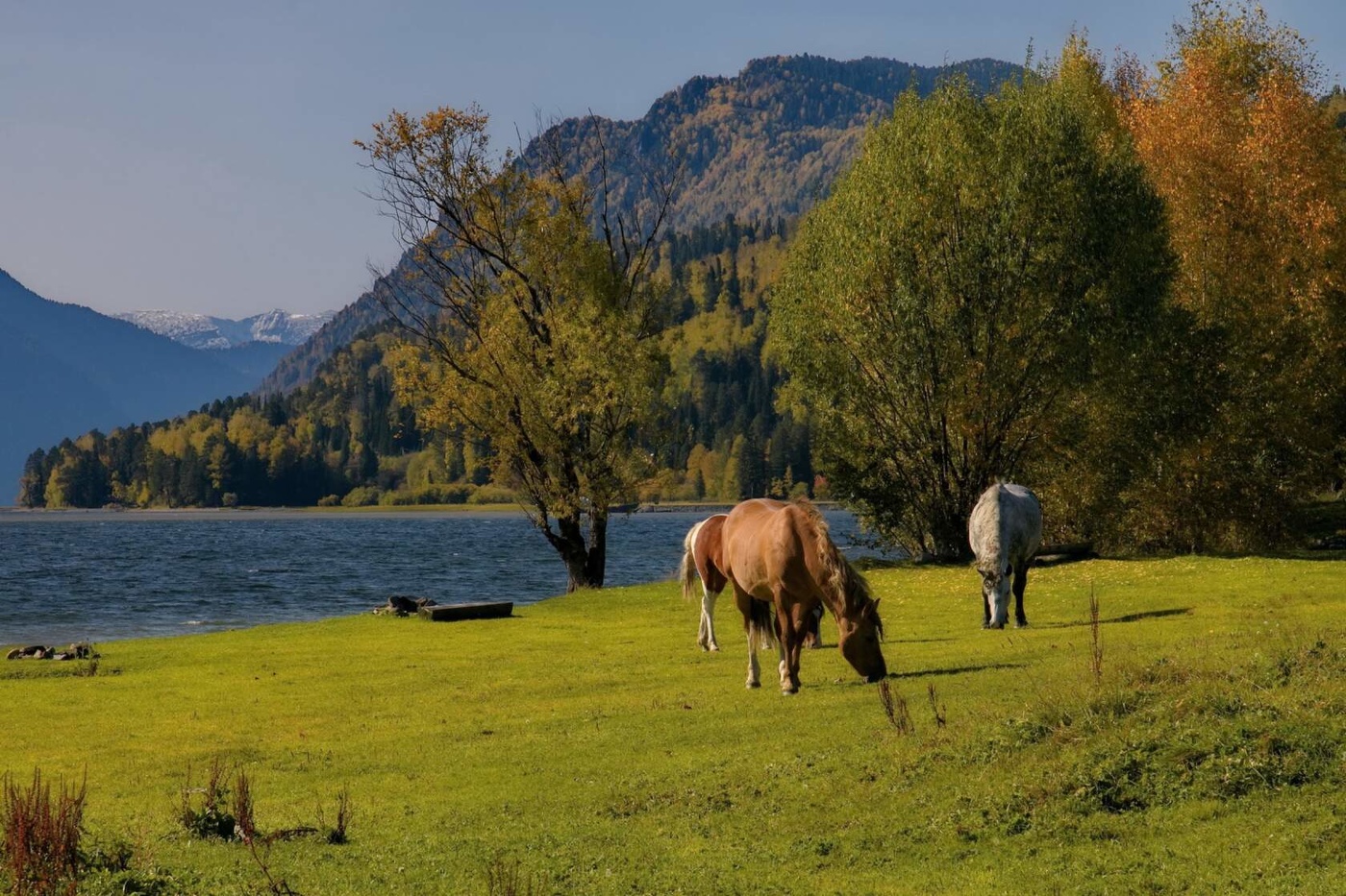 Осенним днём.