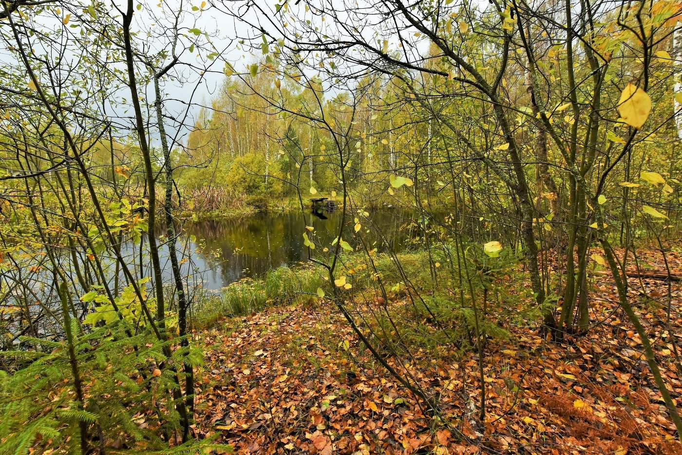 "С какой покорностью бледнеют недавно яркие листы..."