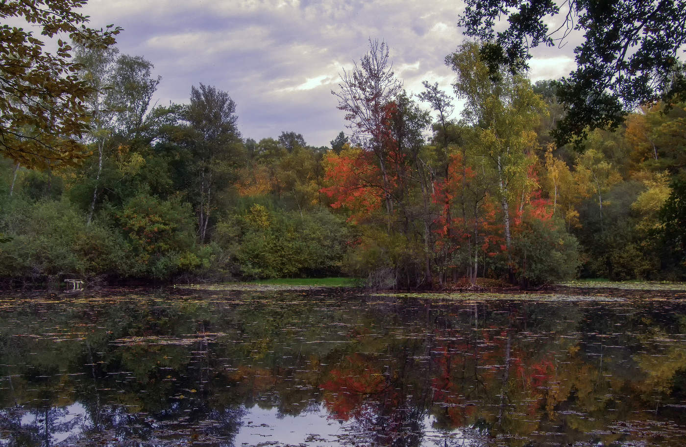 Лесное озеро