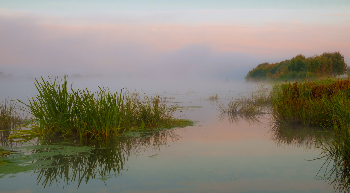 Туман на Оке.