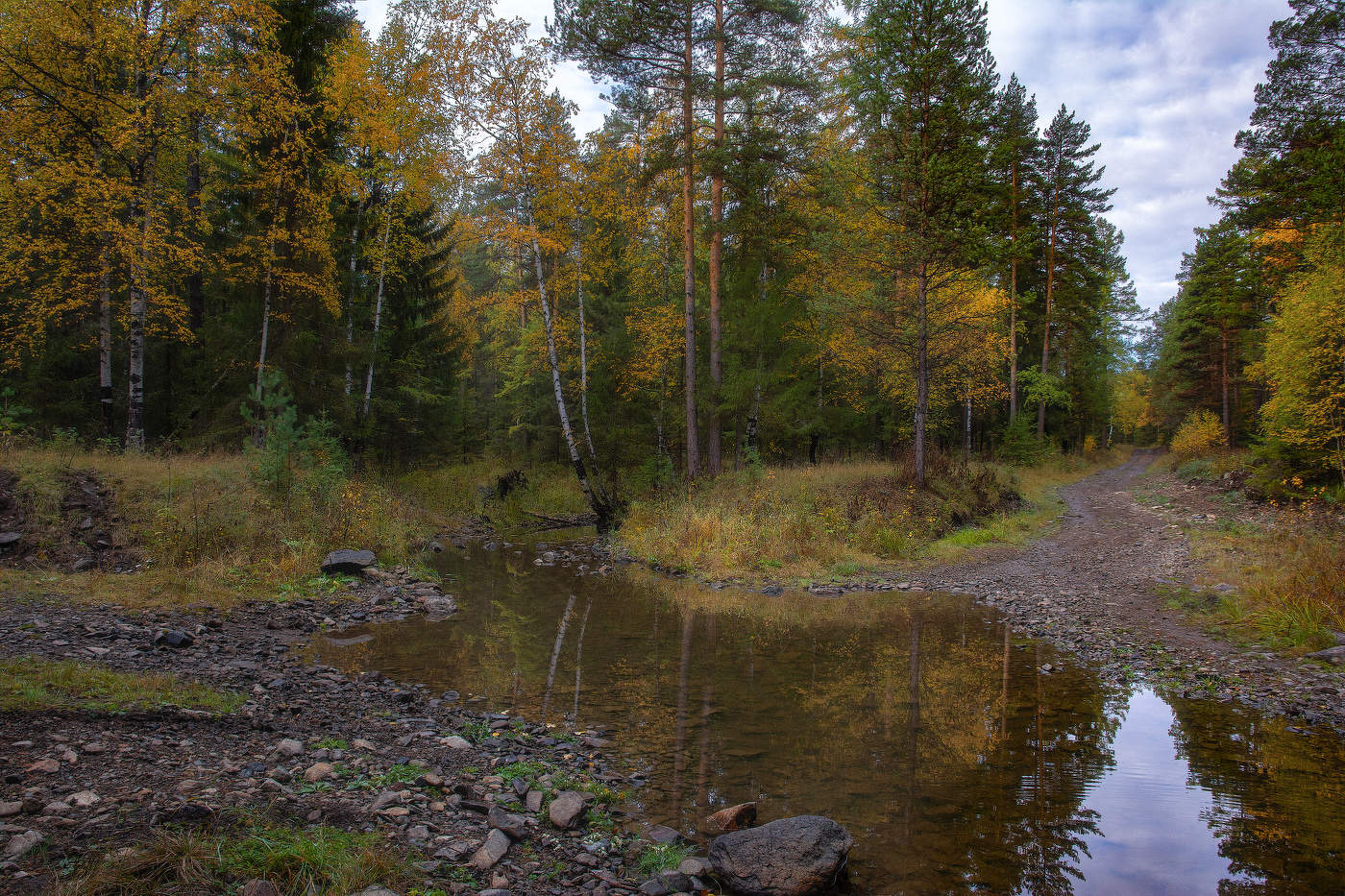 Осенняя природа