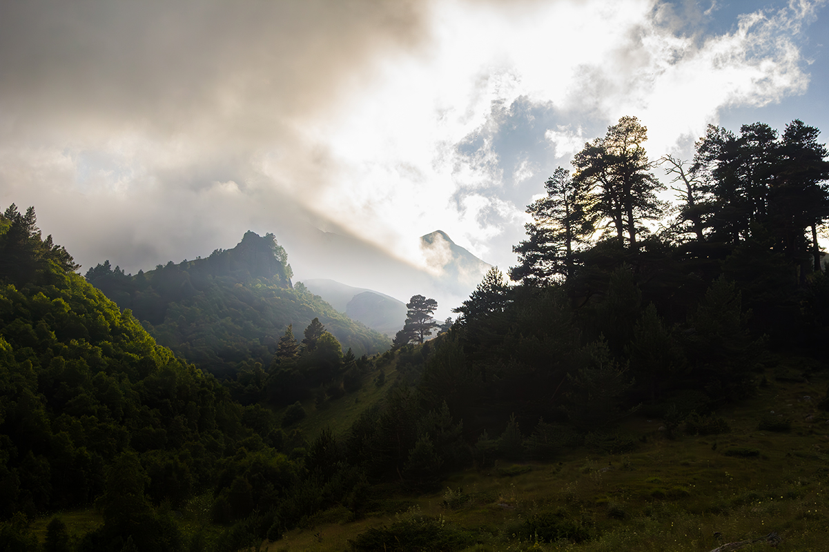 На дальних горизонтах