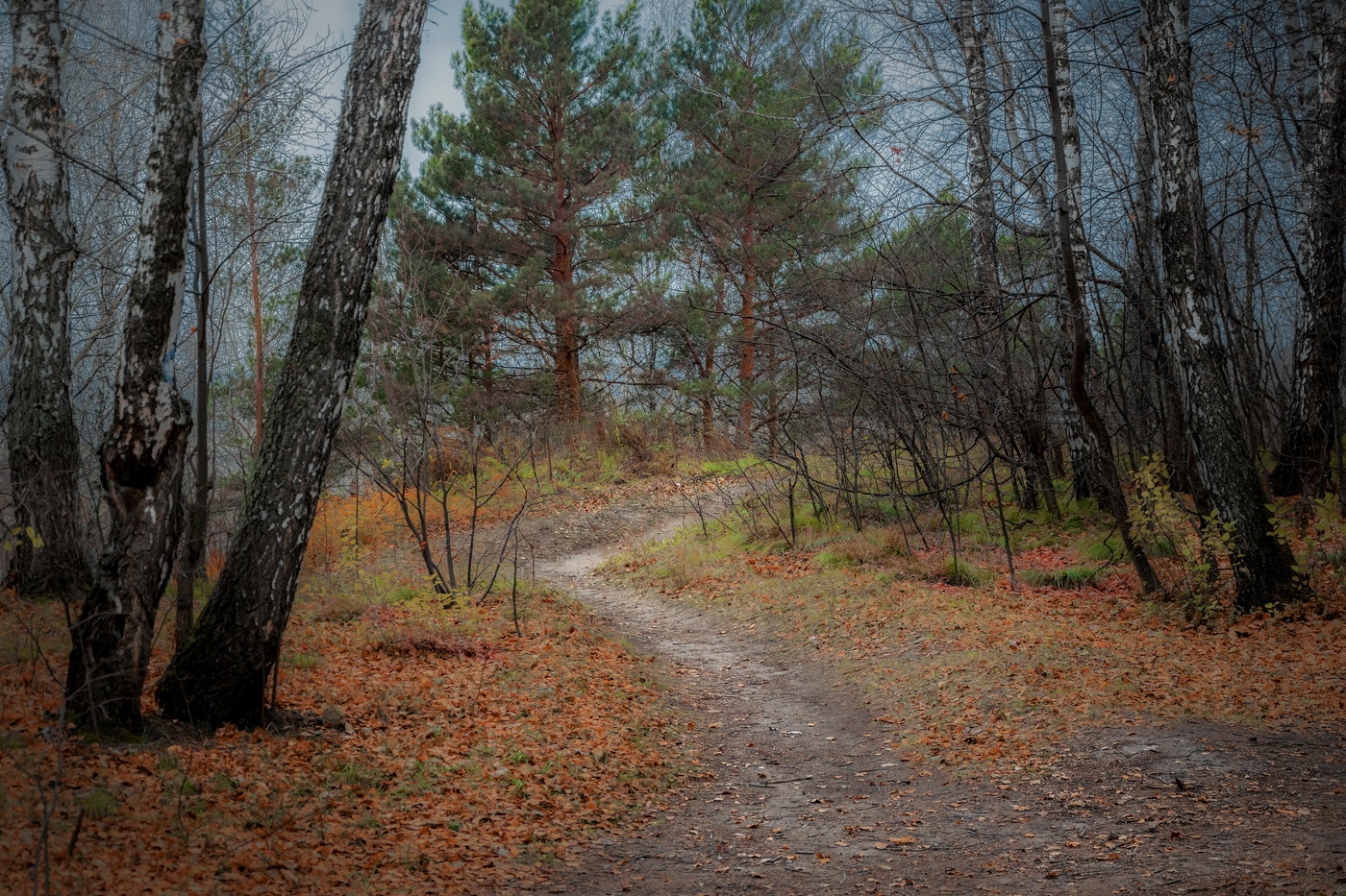 В ожидании снега...