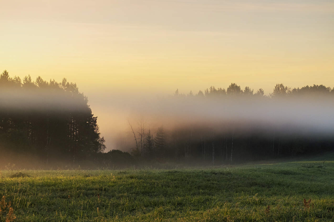 Плыл над полем туман