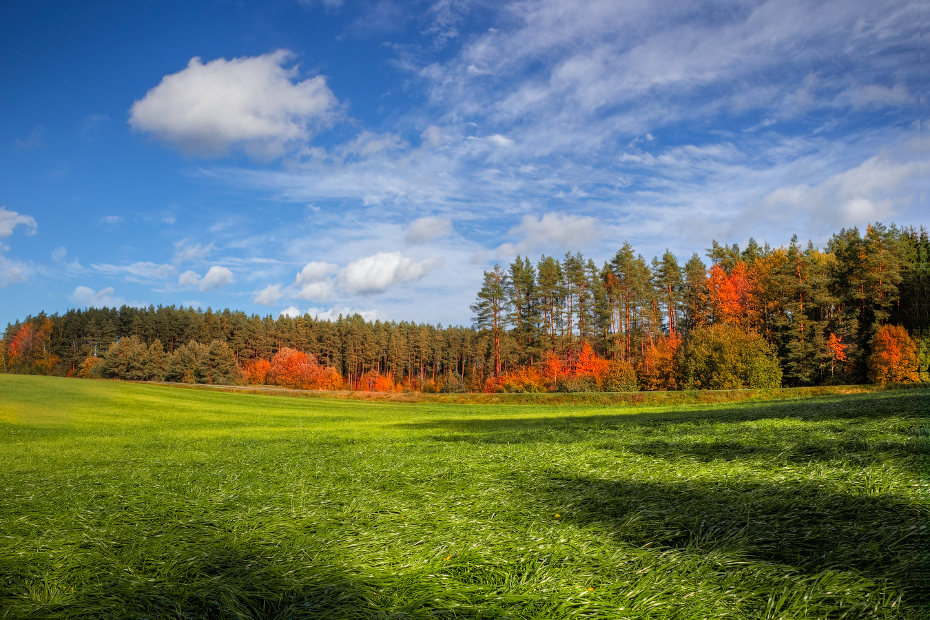 Осенний день
