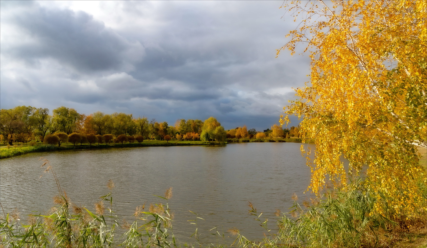 В ЗОЛОТЕ ПЫШНОМ