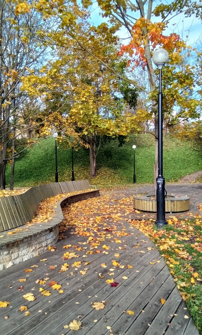 осень в парке