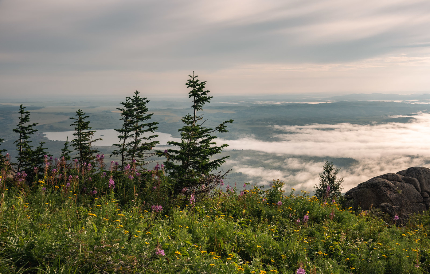 В синюю даль