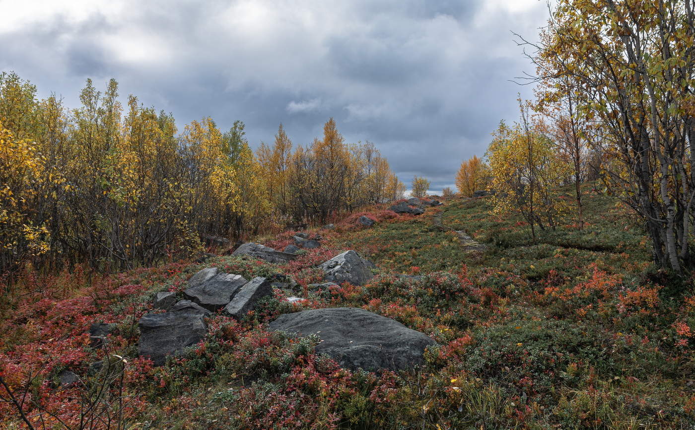 разноцветный сентябрь