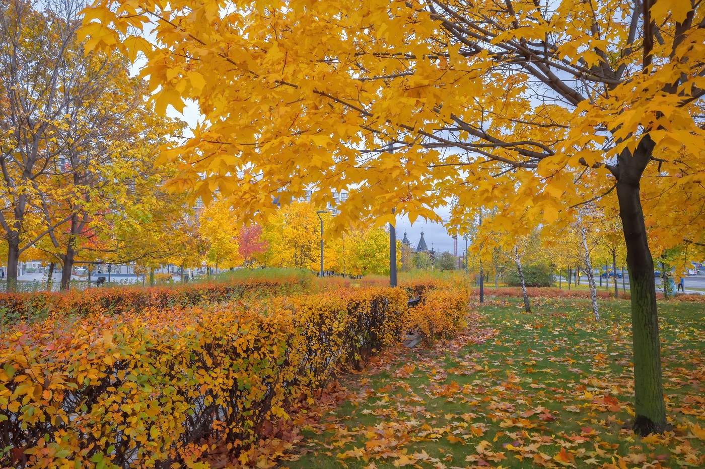 Осень на Ходынке