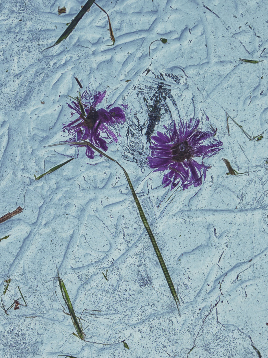 Жизнь вокруг