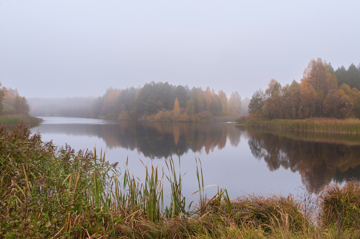 туманная осень..