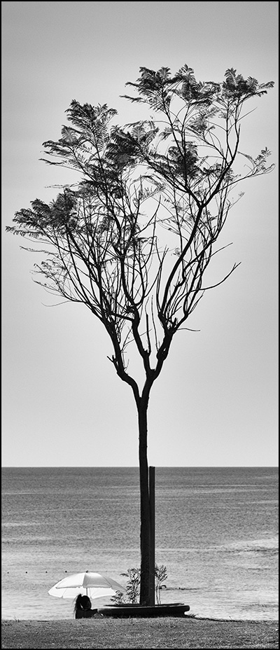 пейзаж с белым зонтиком