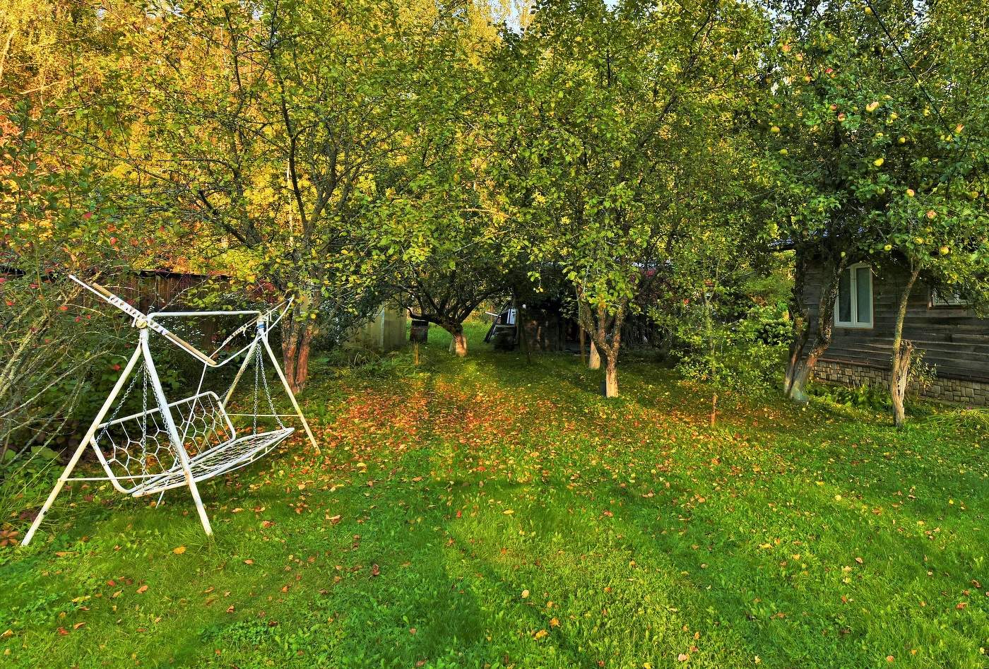 Вот и лето прошло ... Как-то грустно ...