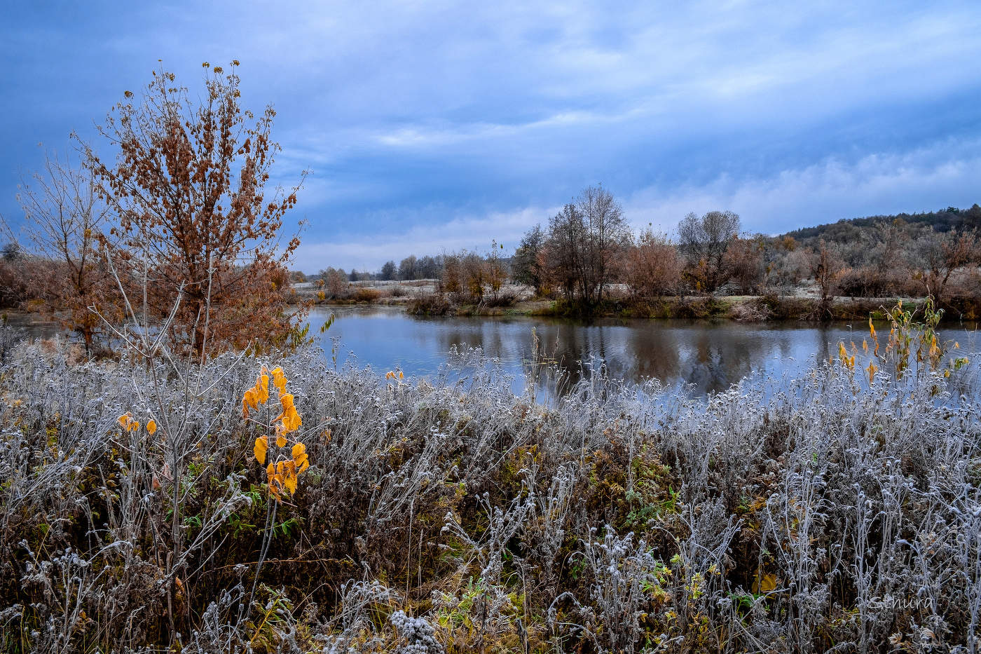 Осенние краски.
