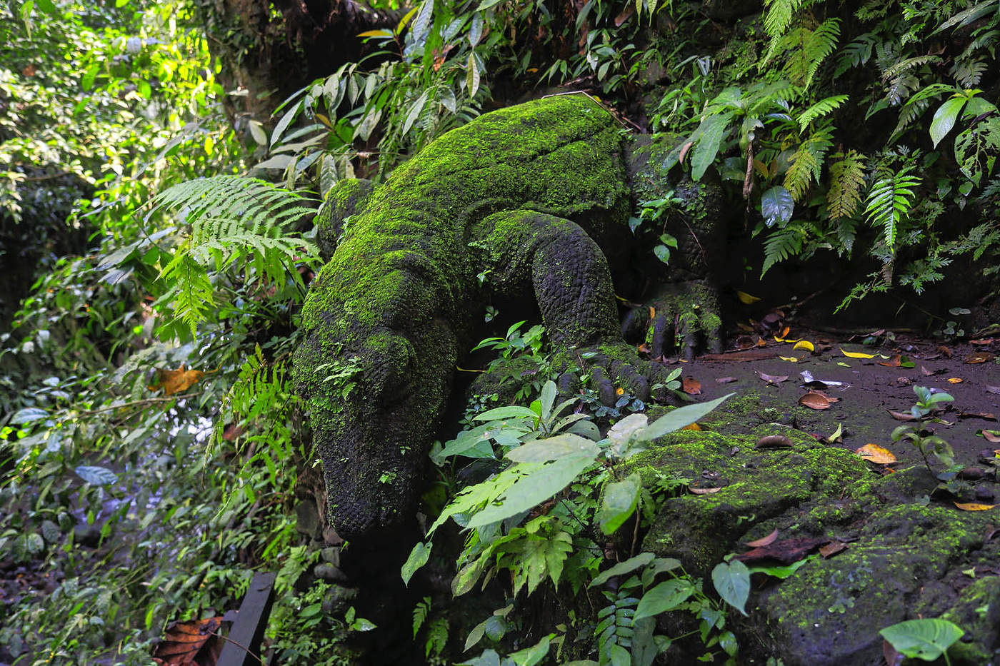 "Весь покрытый зеленью, абсолютно весь..."
